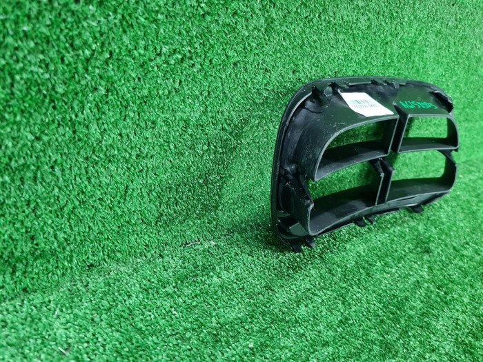 Решетка бампера левая Mini Countryman F60 (16-23)