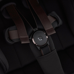 Детская коляска Anex Flo 2 в 1 Lungo