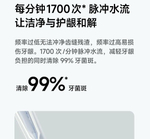 Ирригатор Xiaomi Mijia F400, Светло-зеленый