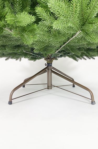 Ель Австрийская купить от Ёлочки в Дом