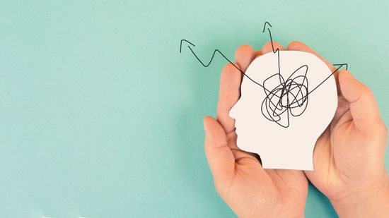 Память, интеллект, мозг