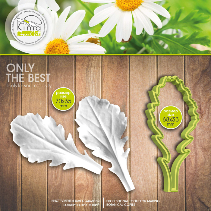 Ромашка лист большой