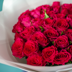 35 Кенийских малиновых роз в белом оформлении