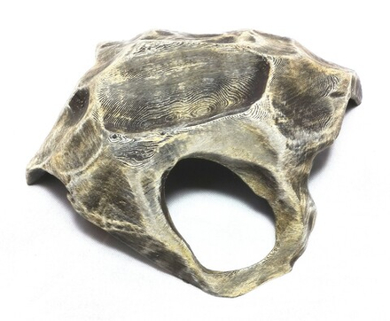 Укрытие для рептилий скелетон/среднее.