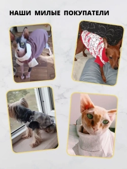 Футболка для собак мелких средних пород и кошек