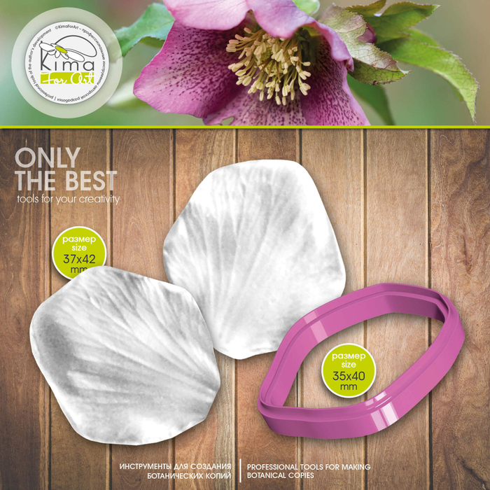 Морозник лепесток средний