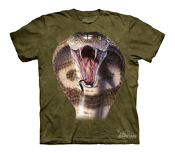 Cobra