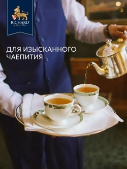 Чай в пакетиках RICHARD DIGESTIVE, 20 шт