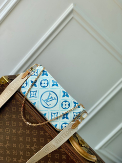 Louis Vuitton Multi Pochette Accessoires
