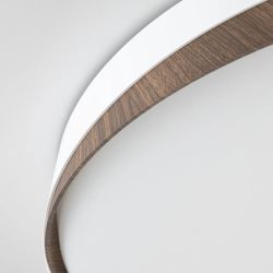 Citilux BONNY CL754450G LED RGB Светильник с пультом Белый + Венге