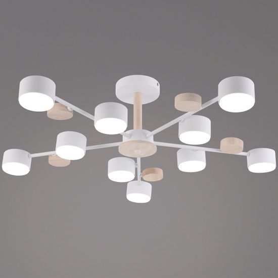 03758-0.3-10 WT+WOOD GX53 светильник потолочный