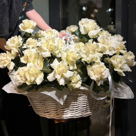 Корзина с эффектной белой французской розой