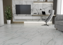 FS 04001 VENATO
