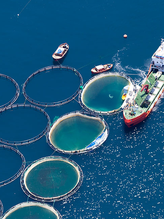 Аквакультура