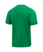 Футболка игровая DIVISION PerFormDRY Union Jersey, зеленый