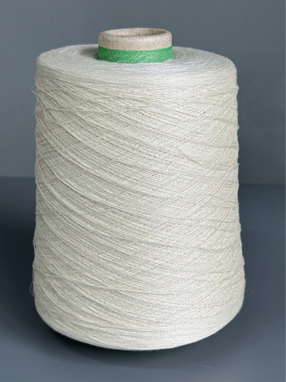 Пряжа Servizi e Seta COTSILK 2/48 (55% шелк 45% хлопок) 2400 м/100 гр, айвори