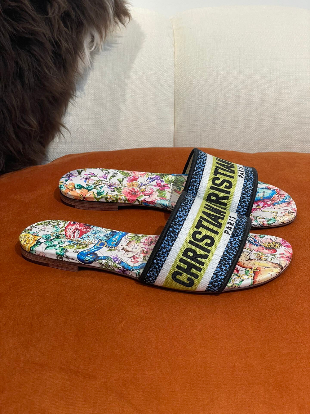 Christian Dior Dway Slide