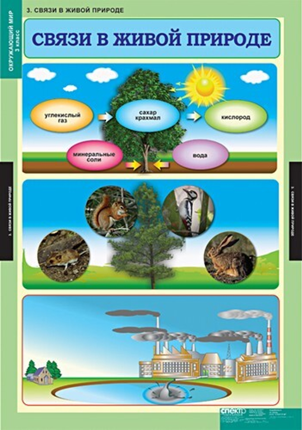 Комплект таблиц "Окружающий мир 3 кл."; 15 таблиц