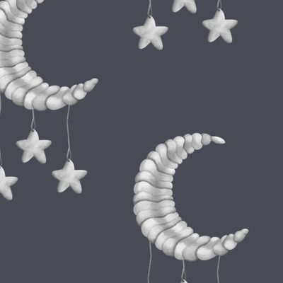 Луна черно-белая на темном крупно