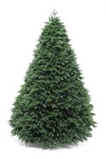 пышная искусственная литая елка "Изящная"