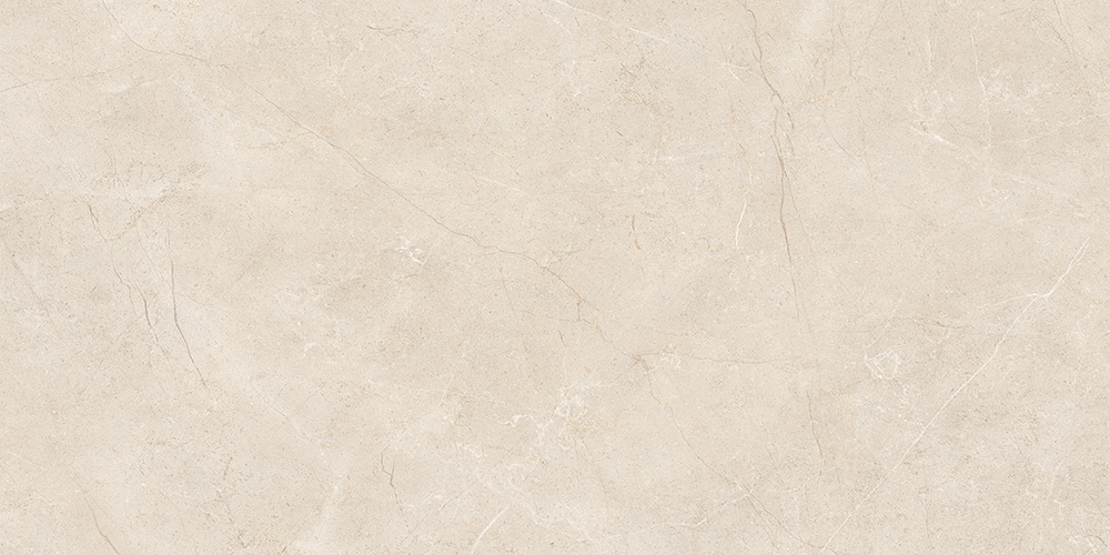 60x120 MoonLight Греж Матовый R10A Ректификат