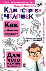 Как устроен человек