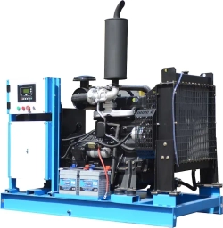 ТСС АД-50С-Т400-1РМ19 промышленный генератор 025017