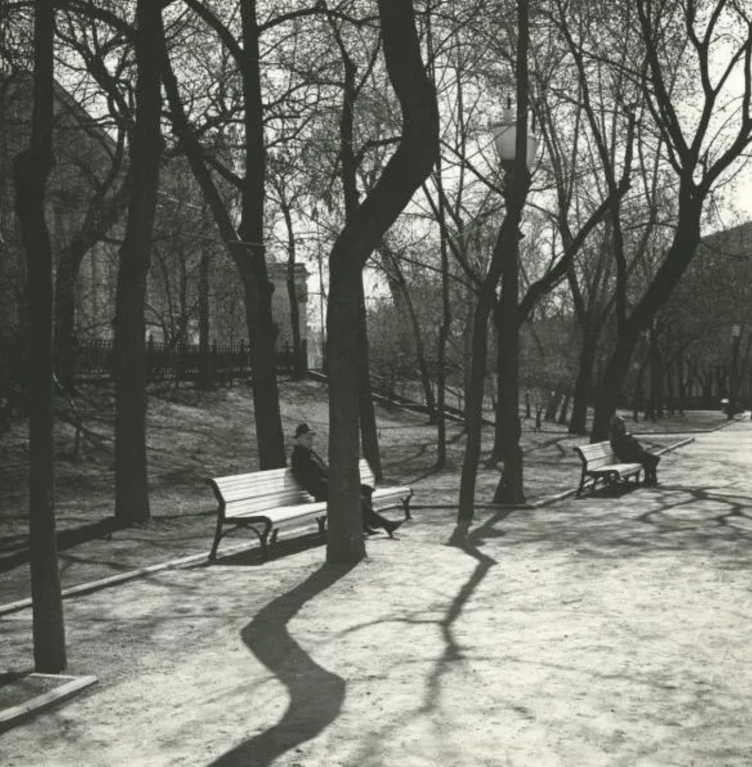 Глазами слабых: ваш город вас уже вычеркнул. Вы просто еще не заметили