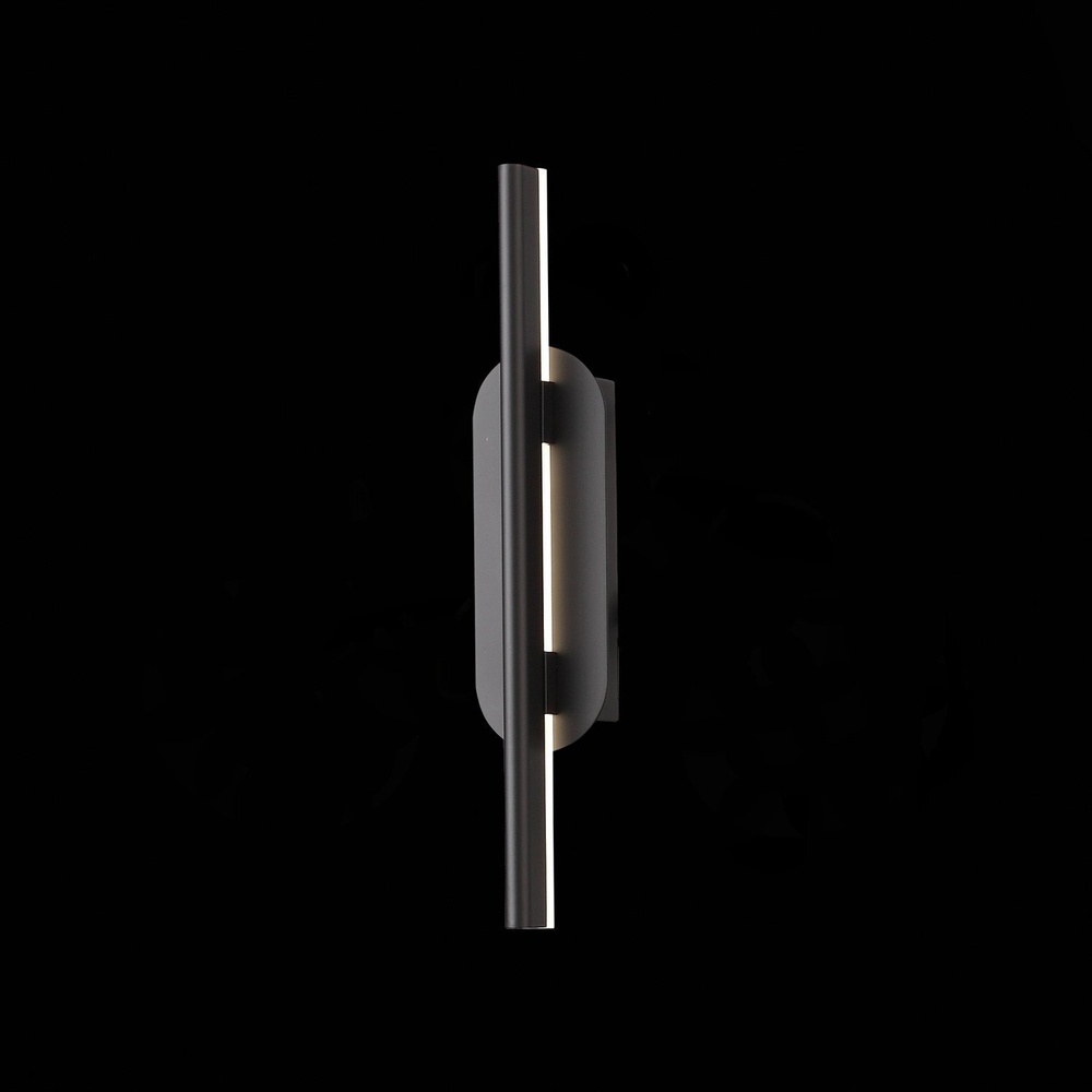 Светильник настенный ST Luce SL1598.041.01