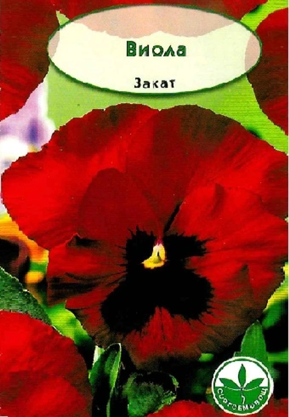 Фиалка Вит. Закат т-красная 7шт 238204