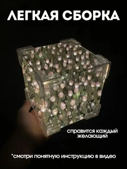 Ночник зеркало с розовыми тюльпанами в кубе, DAZLE