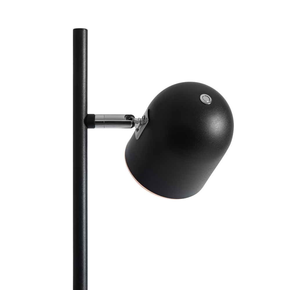 Напольный светильник (торшер) Freya FR5279FL-L7B