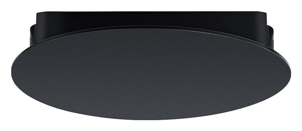 Накладной светильник Arte Lamp Rapid A6163PL-1BK