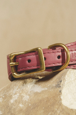 Ошейник "Пони-Селедка" Винный