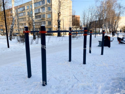 Брусья разновысотные Aviator 651.20.02