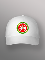 Бейсболка герб Татарстана