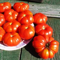 Помидоры - Pomme D'amour - Любовное Яблоко