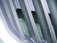 Решетка радиатора Skoda Rapid (2012-2020)