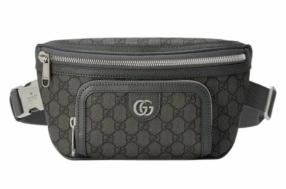 Поясная сумка Gucci Ophidia