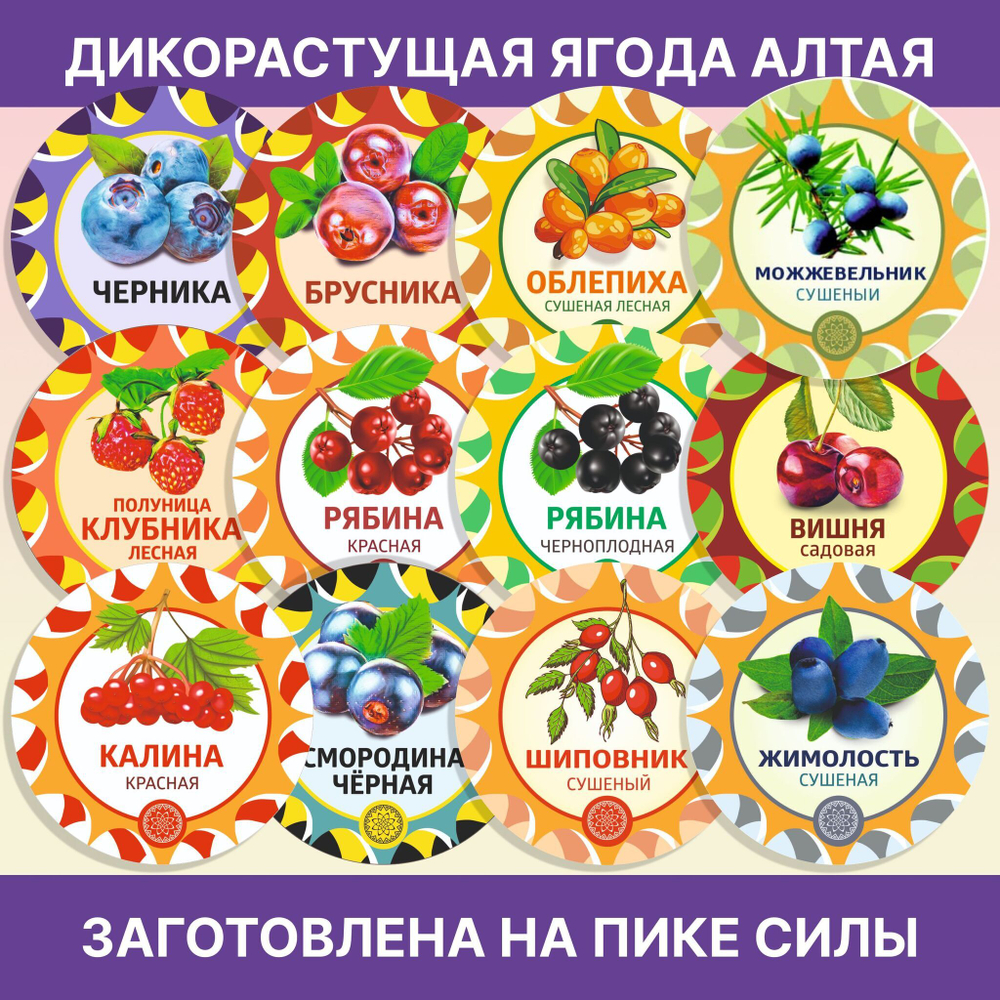 Шалфей пучок.