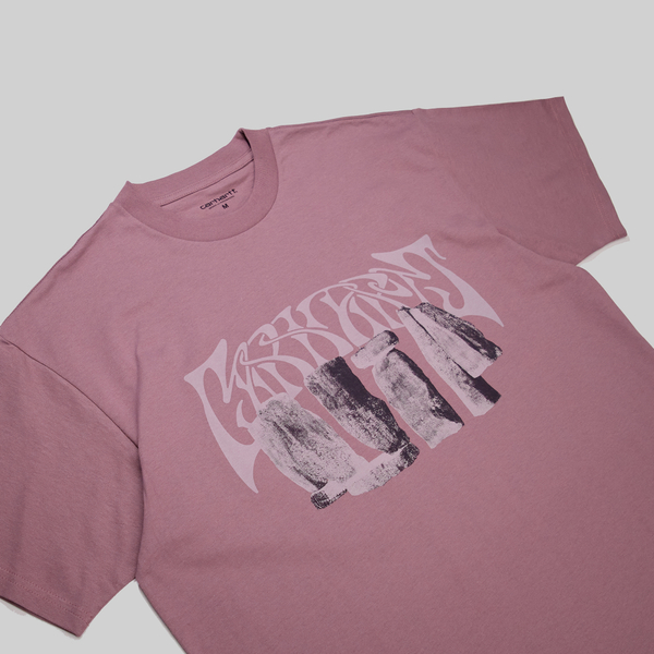 Футболка мужская Carhartt WIP Pagan артикул:I032877_daphne_beige - купить в магазине Дайс