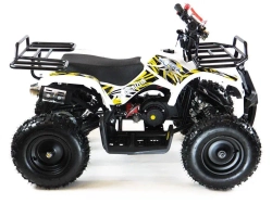 Квадроцикл MOTAX ATV Mini Grizlik X-16 (мех.)