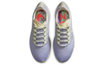 Кроссовки Nike Pegasus 37 (Женская размерная сетка)