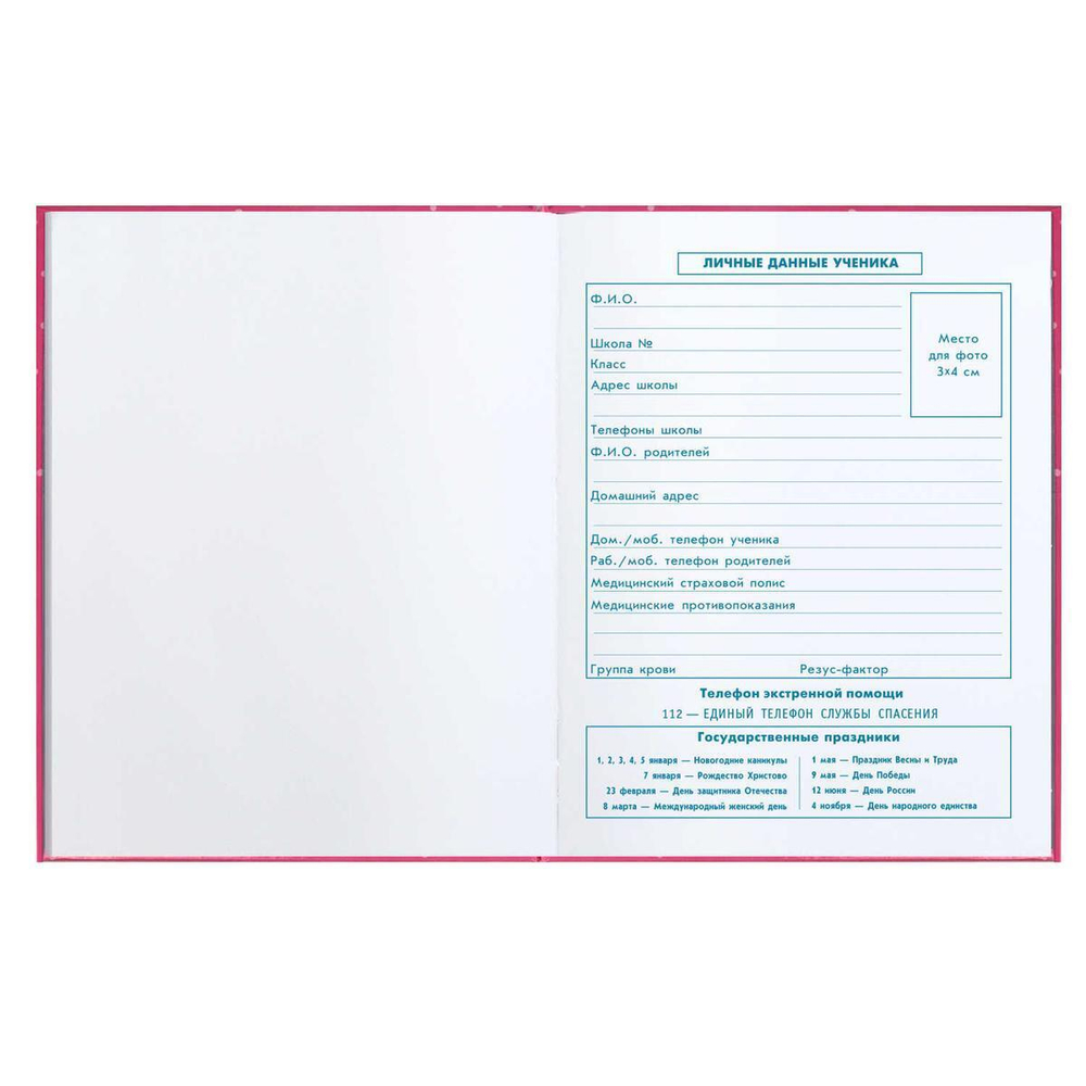 Дневник школьный 1-4 класс 48л "Босс Шпиц" (Феникс+)