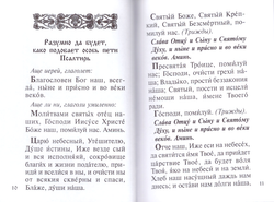 Скан_20250819 (8)