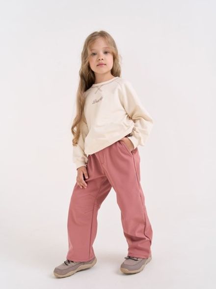 Брюки Softshell демисезонные "Пепельная роза"