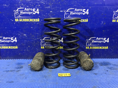 Пружина задняя NISSAN ELGRAND 2005