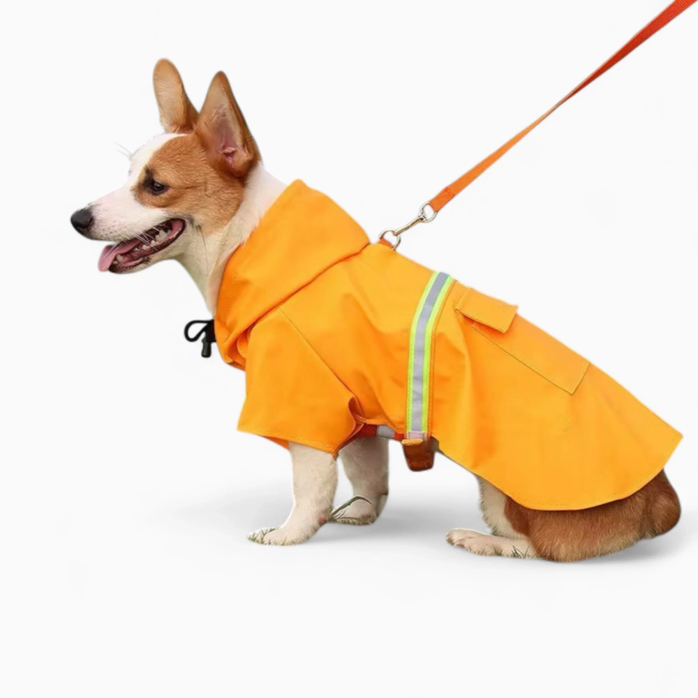 Дождевик «Big city»