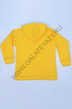 С-731-1 Худи для девочек и мальчиков/ без начёса