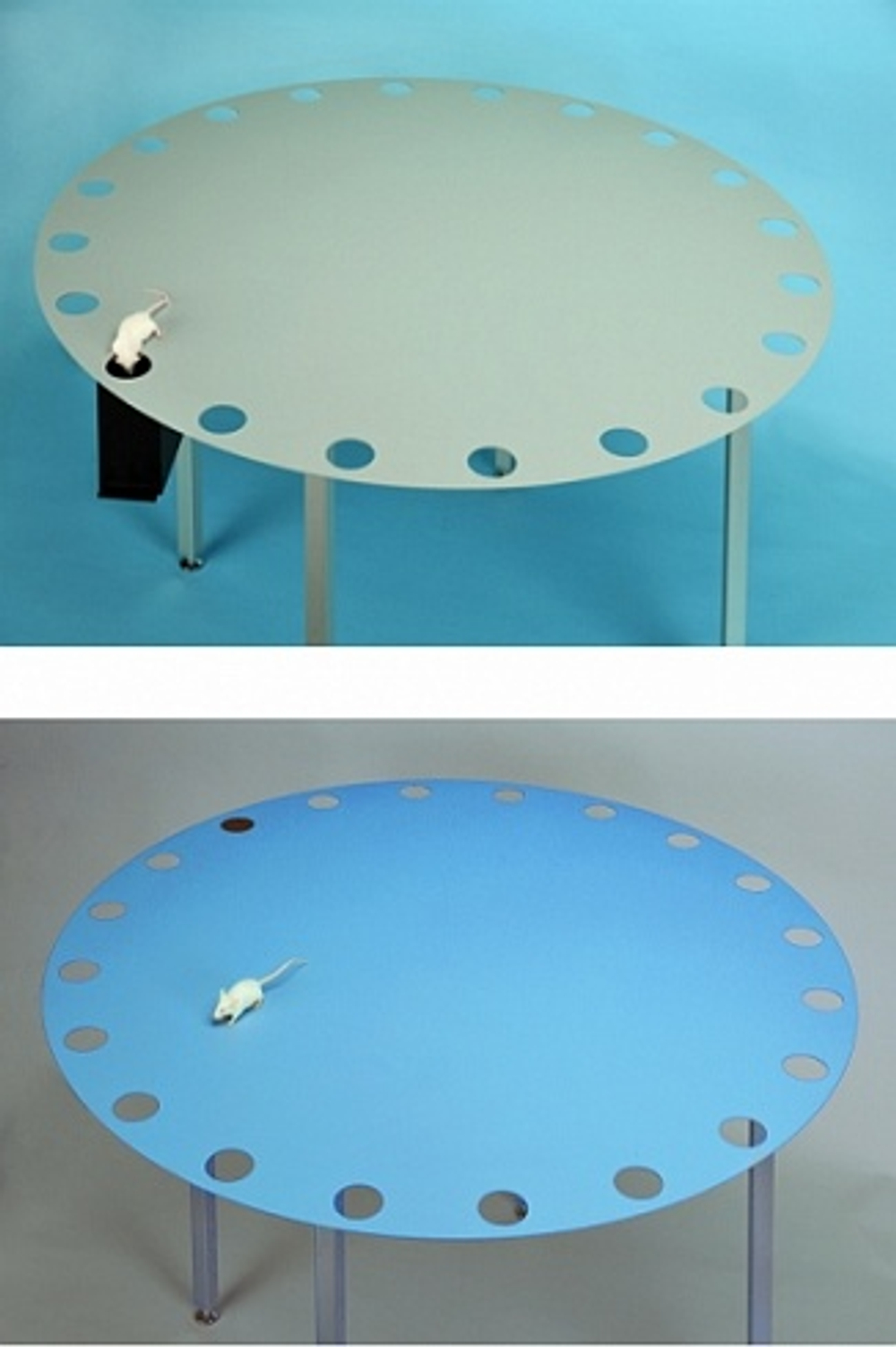 Лабиринт Барнеса